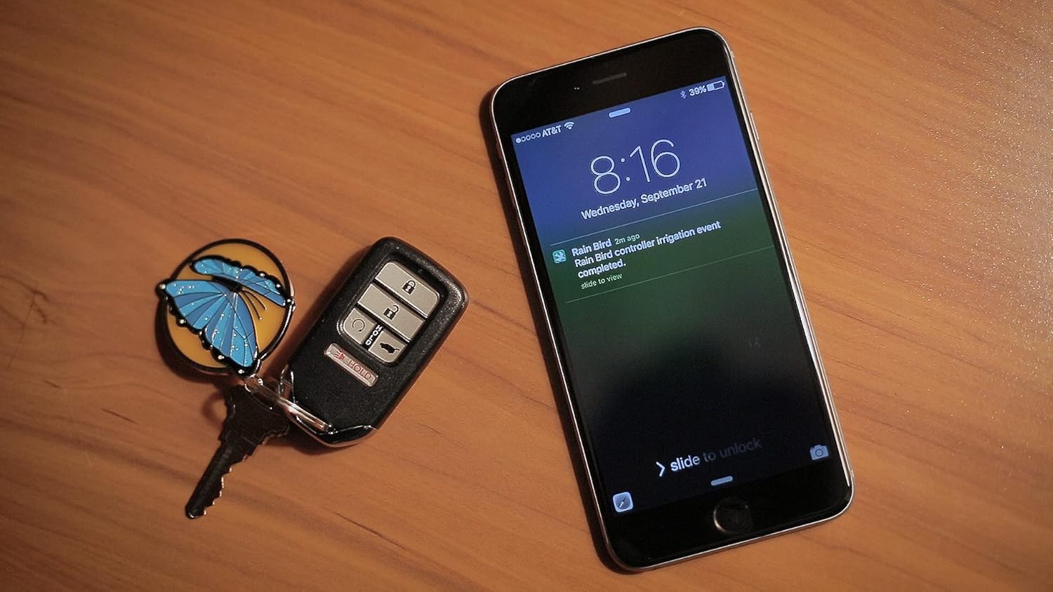 Rain Bird ARC8 WiFi Sprinkler Timer 8-Station review